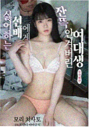 磁力海权游前传龙之家族剧集
